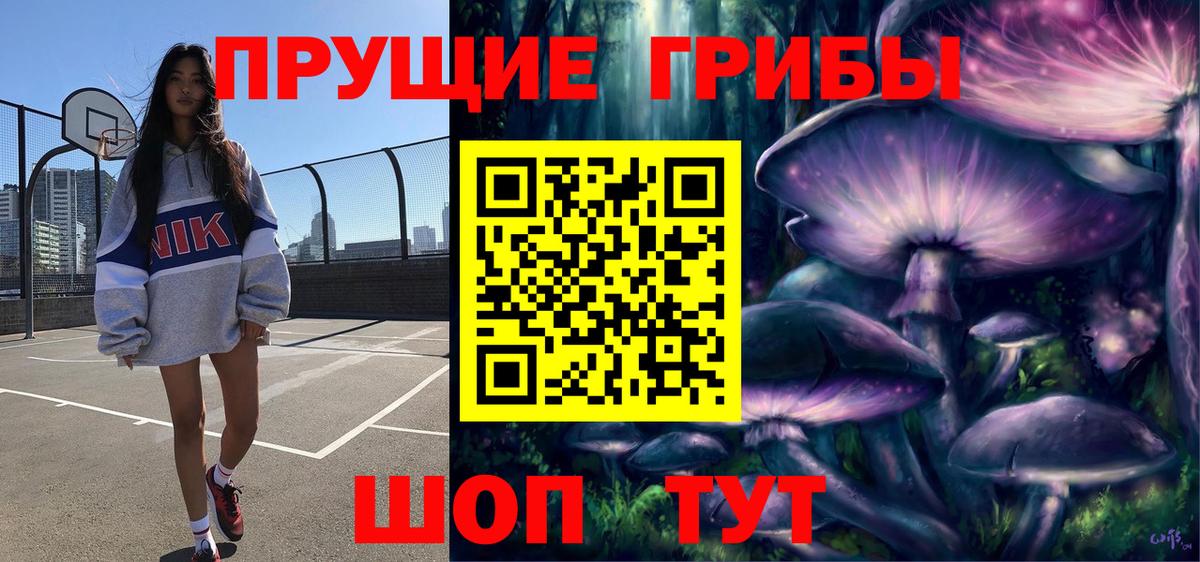 Галлюциногенные грибы Psilocybine cubensis Волгоград