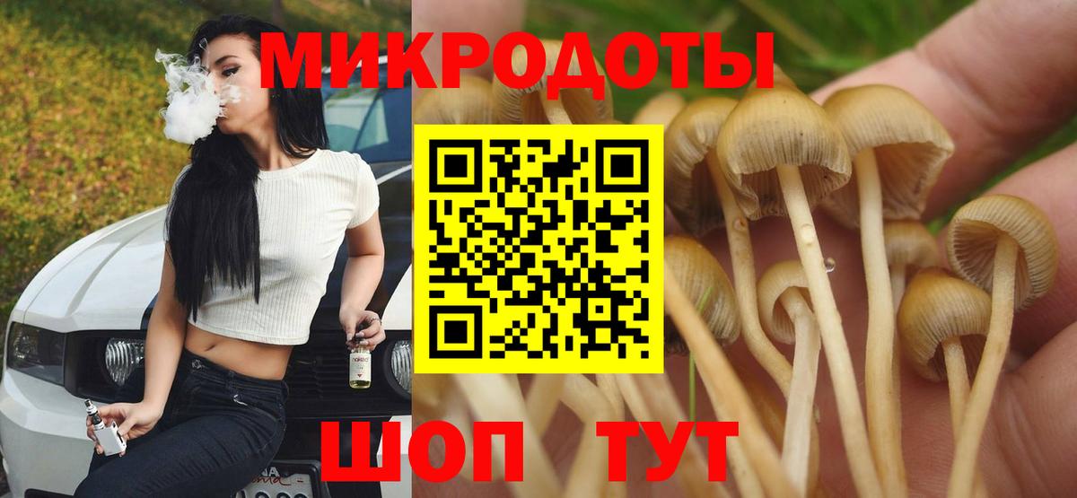 Волгоград  Псилоцибиновые грибы мицелий  Вход с VPN  Псилоцибиновые грибы мухоморы 