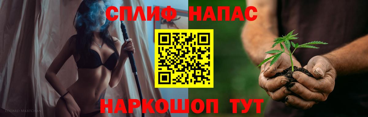 Канабис план Волгоград