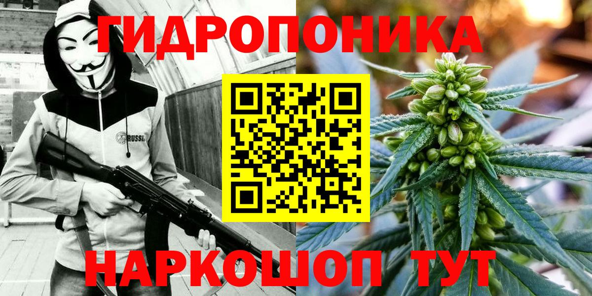 Волгоград  Бошки марихуана гибрид  Вход с VPN  Канабис Ganja  Каннабис OG Kush 